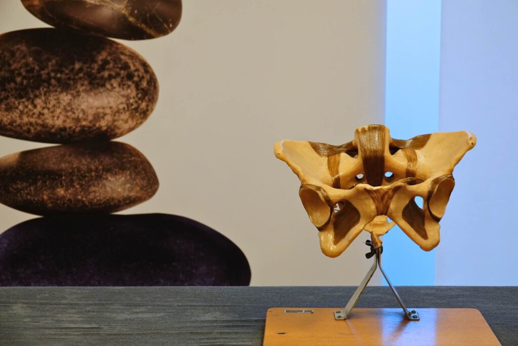 Bekkenfysiotherapie in Den Haag Laakkwartier